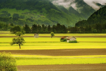 farming field